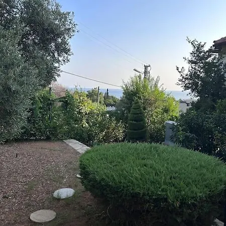 Sse Alanya